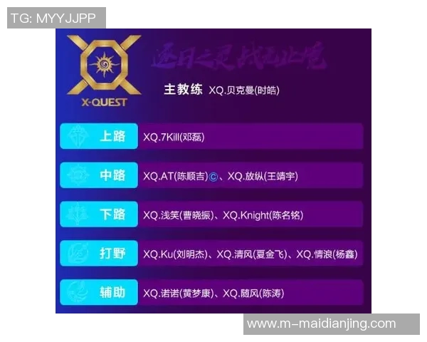 探寻王者荣耀FPX战队的极速崛起与荣耀之路