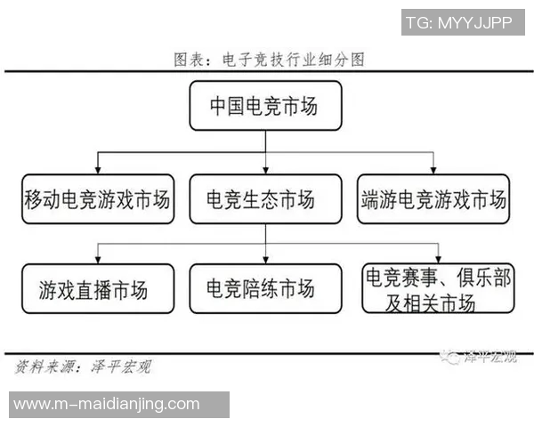 2026电竞新闻深入分析EDG与V5赛后复盘中的团队协作与战术执行